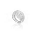 Guardian Ring
